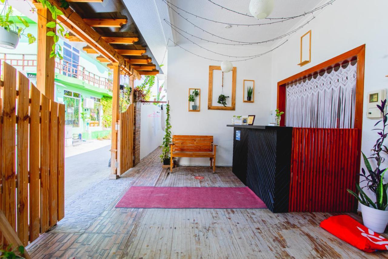 Alaika Maafushi Otel Dış mekan fotoğraf